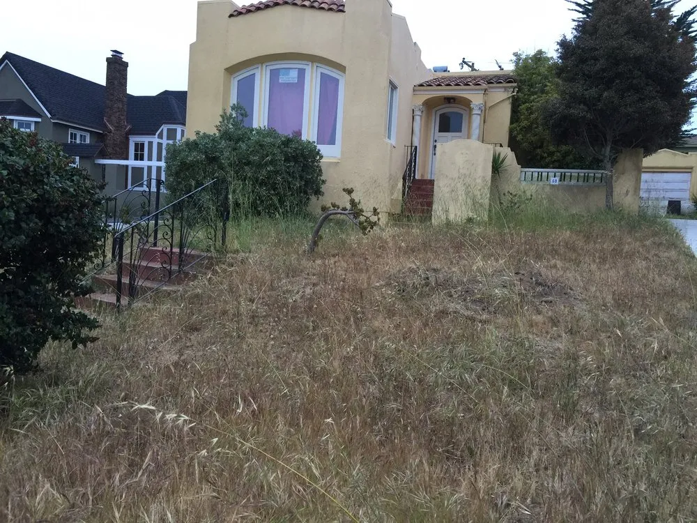 Reliable landscape design in San Francisco, CA - Mediterrasian Landscapes