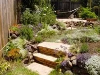 Trusted yard cleanup service experts serving San Francisco, CA - Mediterrasian Landscapes