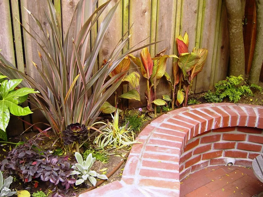 Trusted garden landscaping experts serving San Francisco, CA - Mediterrasian Landscapes