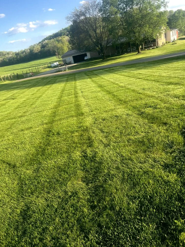 Trusted yard cleanup service in New Philadelphia, OH - Medley’s Lawn Care