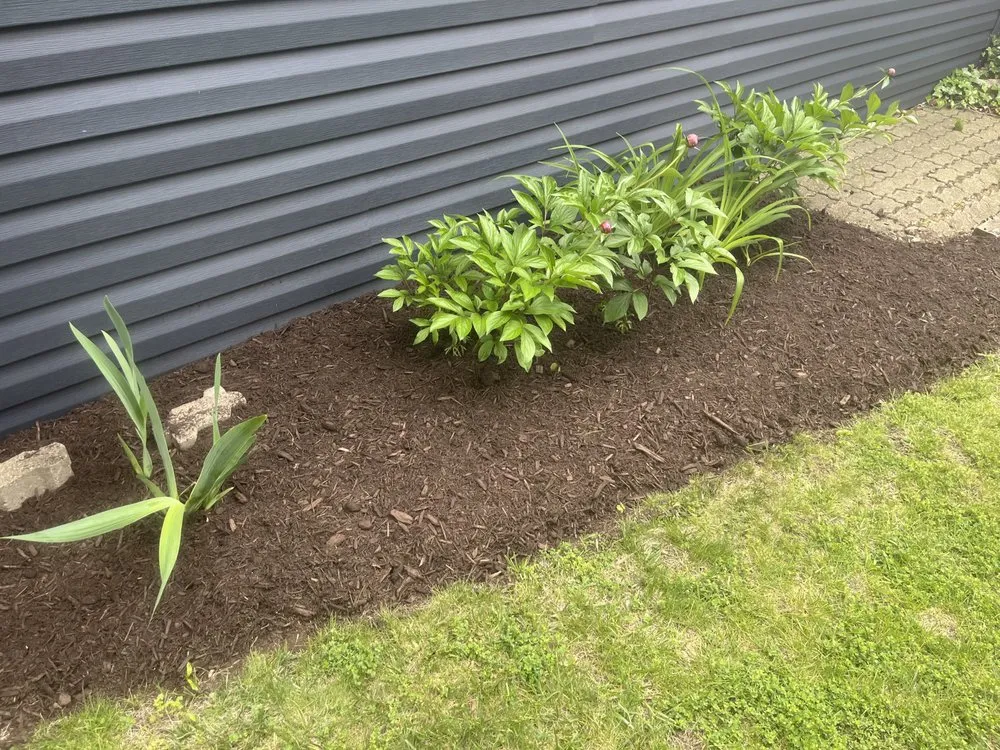 Custom lawn care service in New Philadelphia, OH - Medley’s Lawn Care