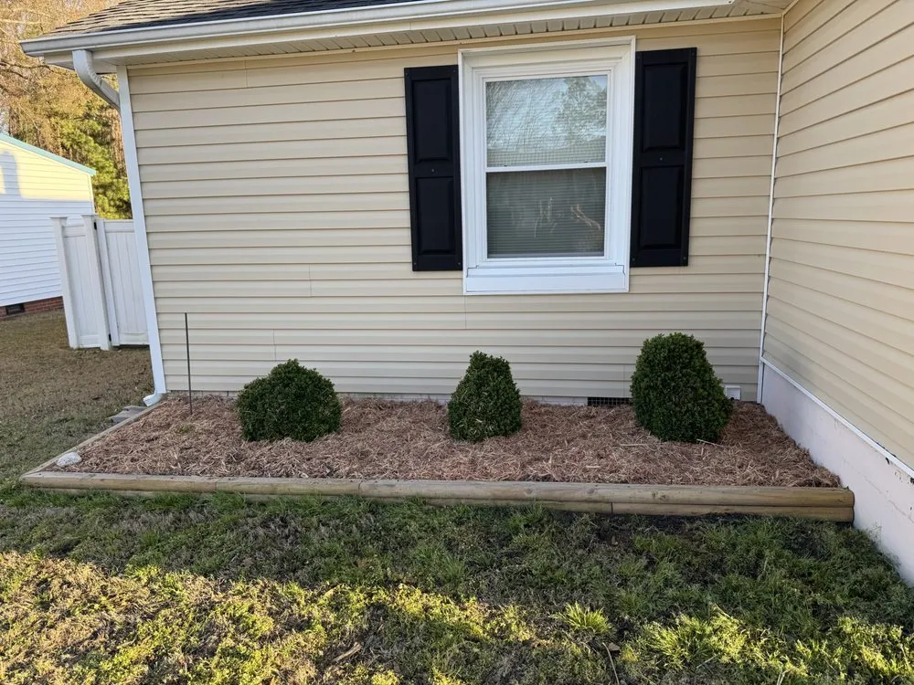 Top-rated landscape design for year-round maintenance in Coats, NC by Medlin & More