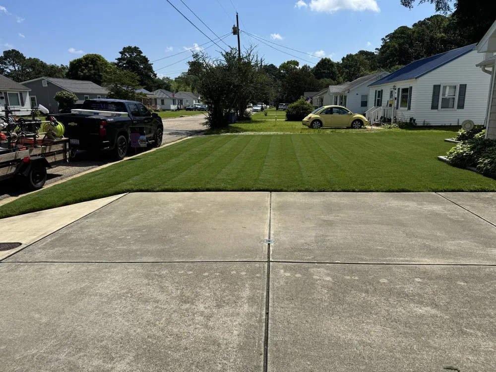 Expert residential landscaping for outdoor upgrades across Coats, NC - Medlin & More