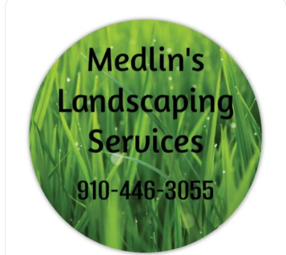 Affordable yard cleanup service for year-round maintenance across Conway, SC - Medlin's Landscaping Services
