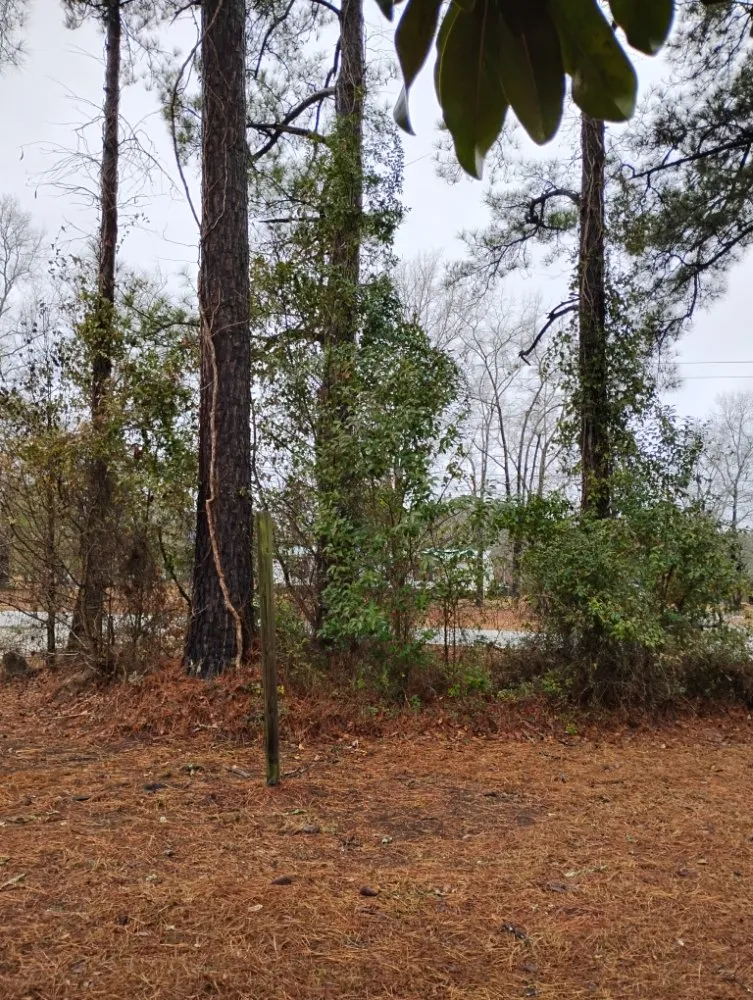 Custom landscape installation experts serving Conway, SC - Medlin's Landscaping Services