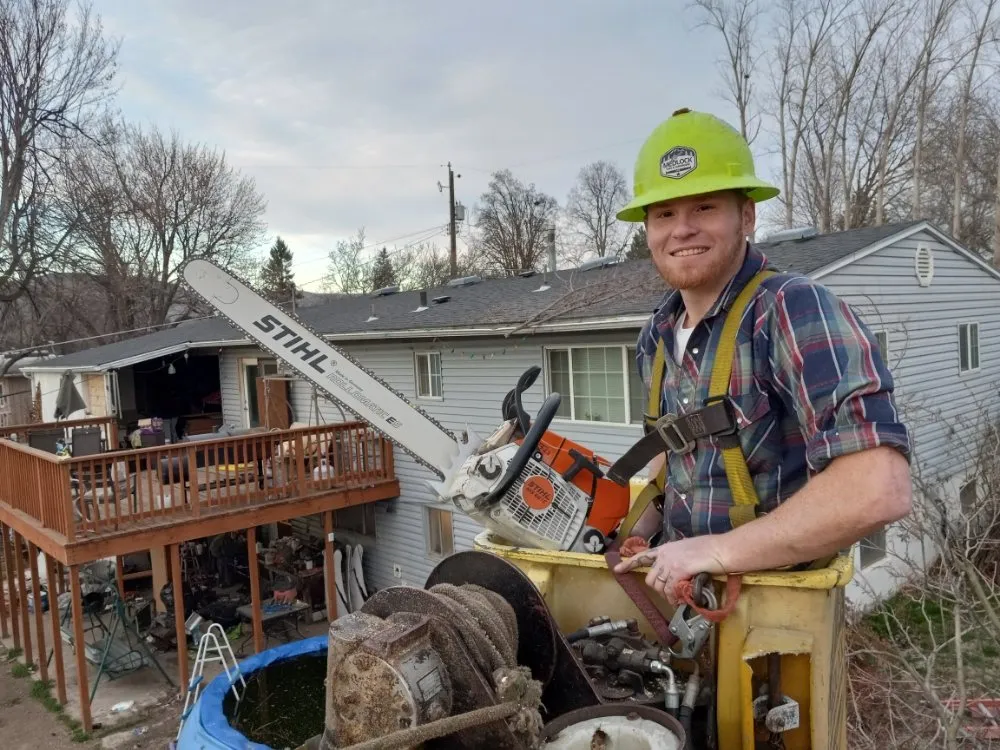 Affordable lawn mowing service experts serving Lewiston, ID - Medlock Lawn Tree & Landscape