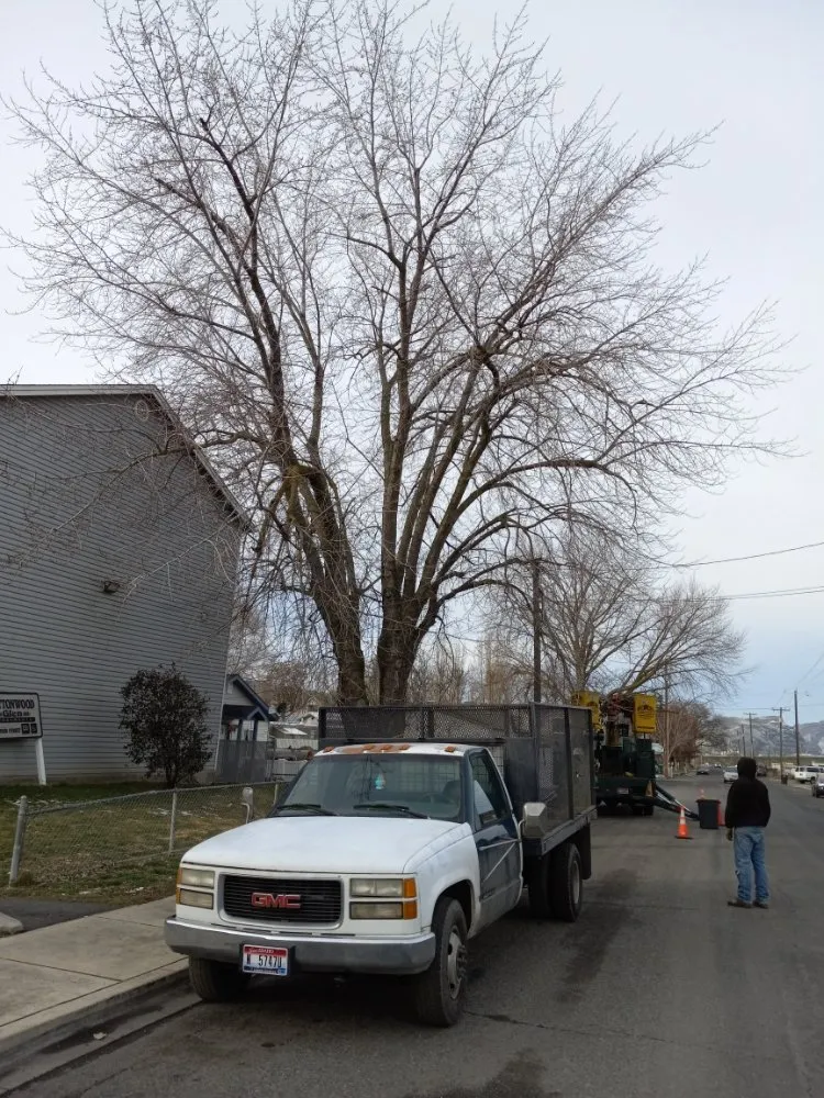 Affordable landscape installation for year-round maintenance across Lewiston, ID - Medlock Lawn Tree & Landscape