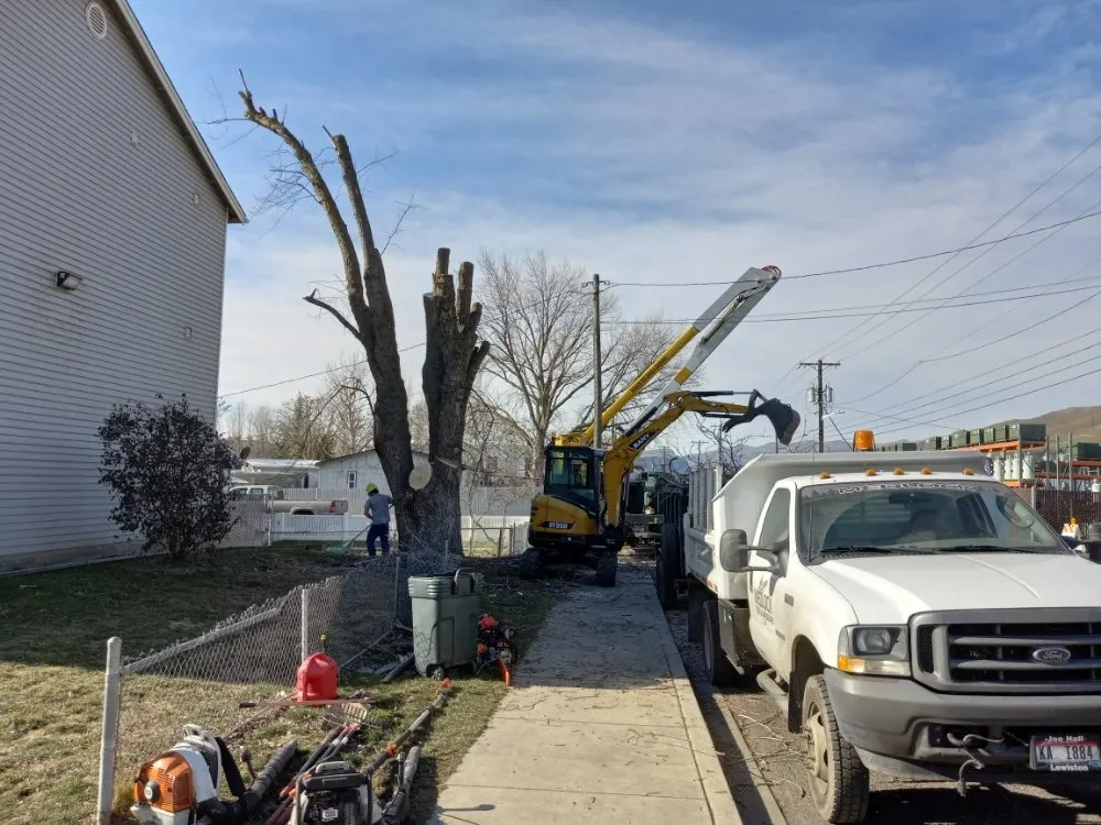 Expert yard cleanup service with custom design in Lewiston, ID by Medlock Lawn Tree & Landscape