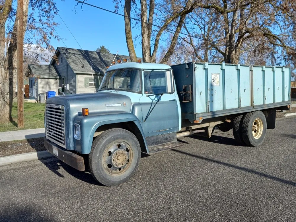 Expert yard cleanup service in Lewiston, ID - Medlock Lawn Tree & Landscape