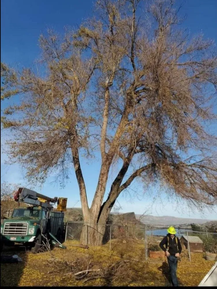 Reliable landscaping services for beautiful yards in Lewiston, ID by Medlock Lawn Tree & Landscape