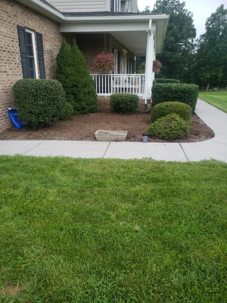 Expert yard cleanup service for residential properties in Winchester, VA by Medrano Landscapes & More