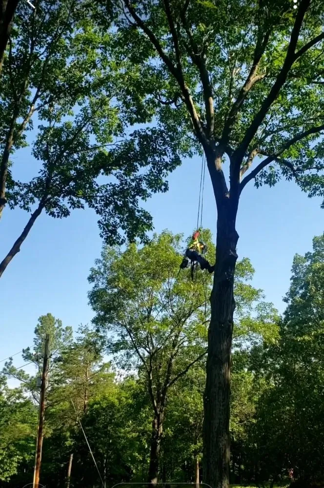 Reliable outdoor landscaping in Winchester, VA - Medrano Landscapes & More