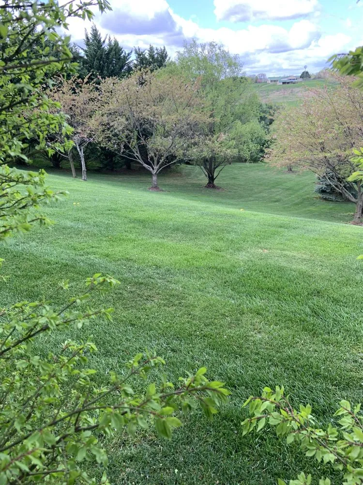 Custom lawn care service near you across Winchester, VA - Medrano Landscapes & More