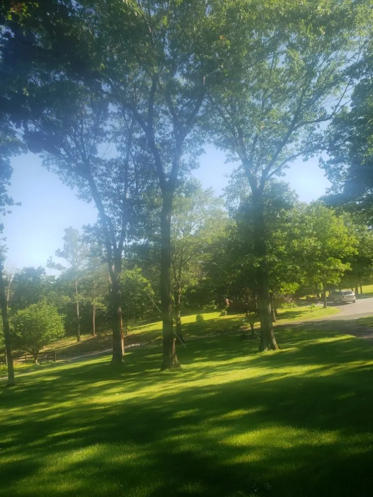 Affordable yard cleanup service near you across Winchester, VA - Medrano Landscapes & More