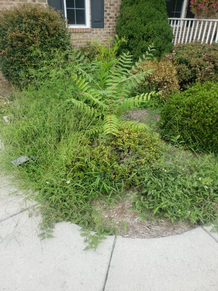 Professional outdoor landscaping in Winchester, VA by Medrano Landscapes & More