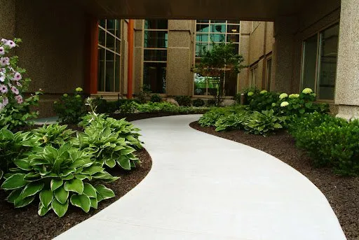 Trusted yard cleanup service for homes in Winthrop, MN by Medrano Lawn Scape