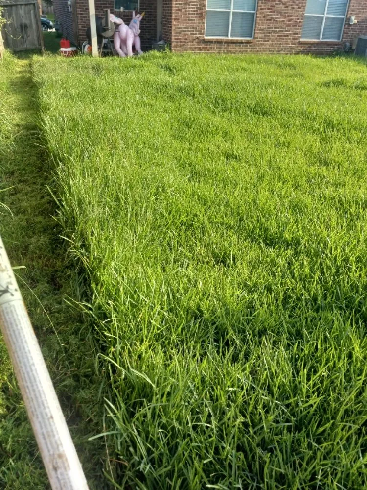 Expert landscape design in Houston, TX - Medranos Landscaping