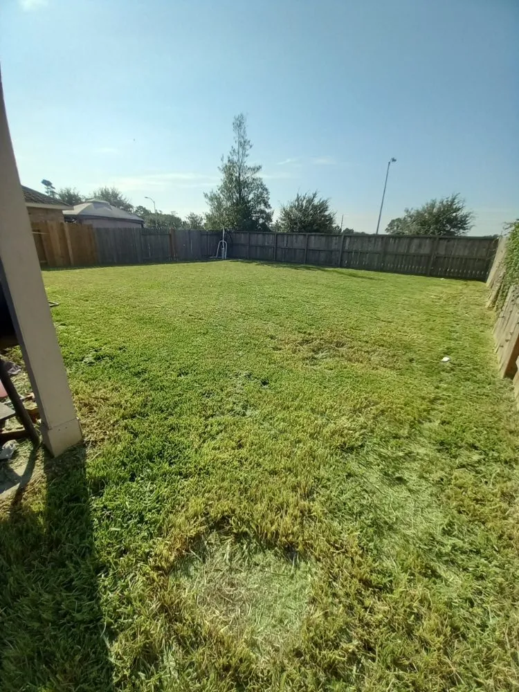 Professional garden landscaping in Houston, TX - Medranos Landscaping