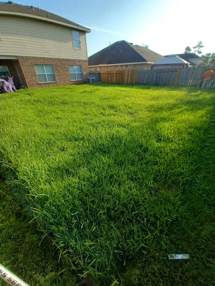 Trusted yard cleanup service in Houston, TX - Medranos Landscaping