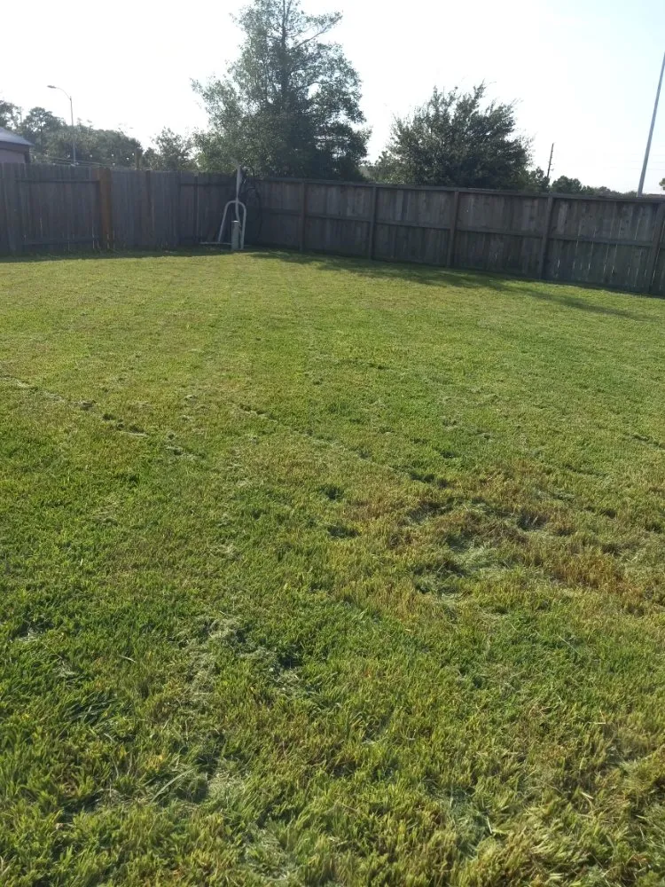 Trusted garden landscaping experts serving Houston, TX - Medranos Landscaping