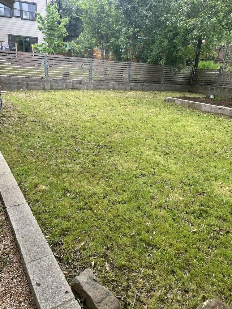 Trusted yard cleanup service for homes across Lockhart, TX - Medrano’s Services