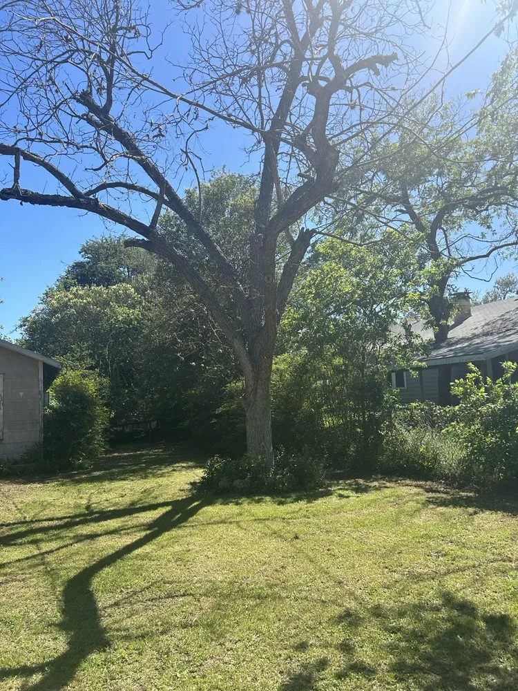 Affordable garden landscaping in Lockhart, TX - Medrano’s Services