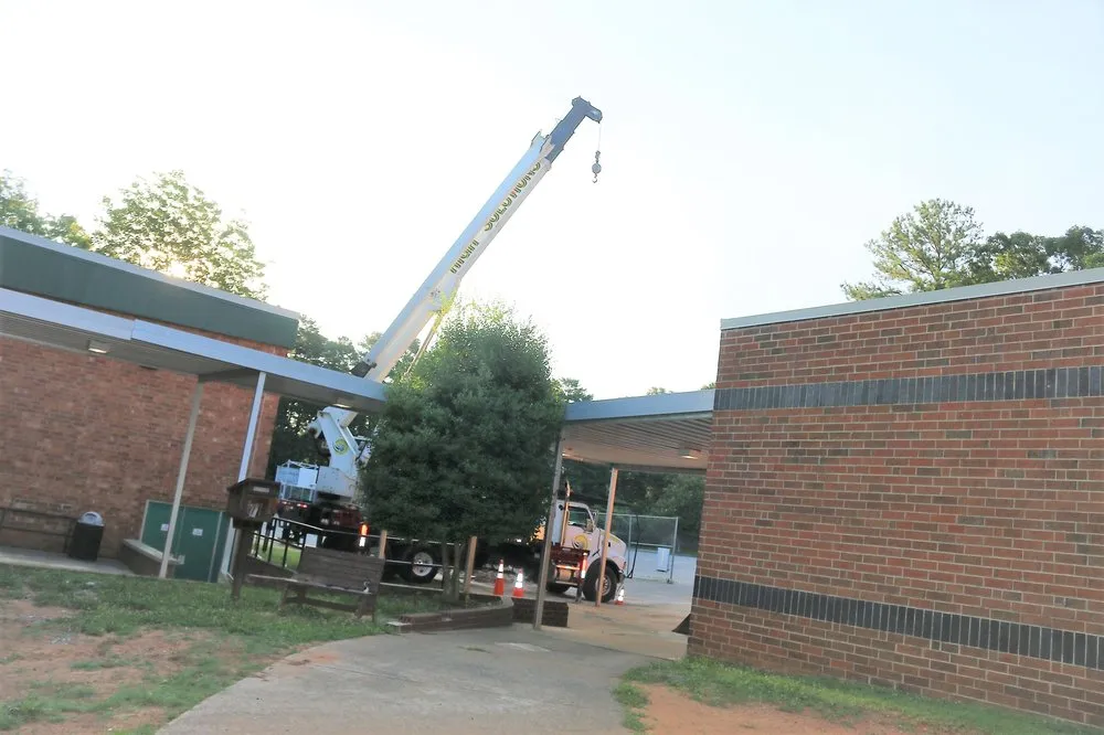 Professional lawn care service in Chapel Hill, NC by Medrano's Tree Service