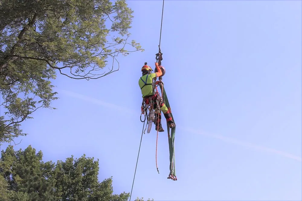 Affordable lawn care service for residential properties across Chapel Hill, NC - Medrano's Tree Service