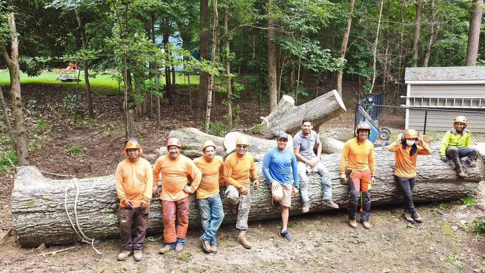 Custom garden landscaping in Chapel Hill, NC - Medrano's Tree Service