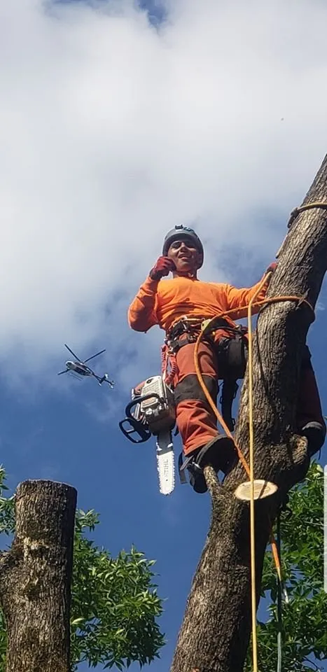 Custom outdoor landscaping for outdoor upgrades across Chapel Hill, NC - Medrano's Tree Service