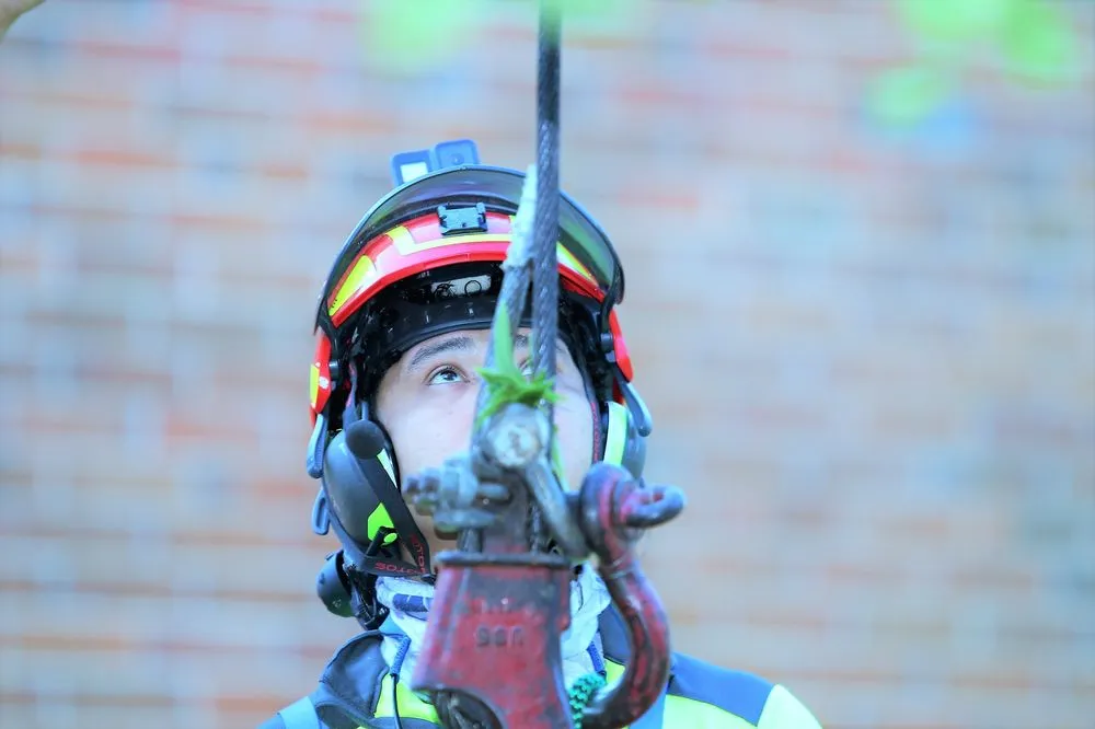 Trusted outdoor landscaping near you in Chapel Hill, NC by Medrano's Tree Service