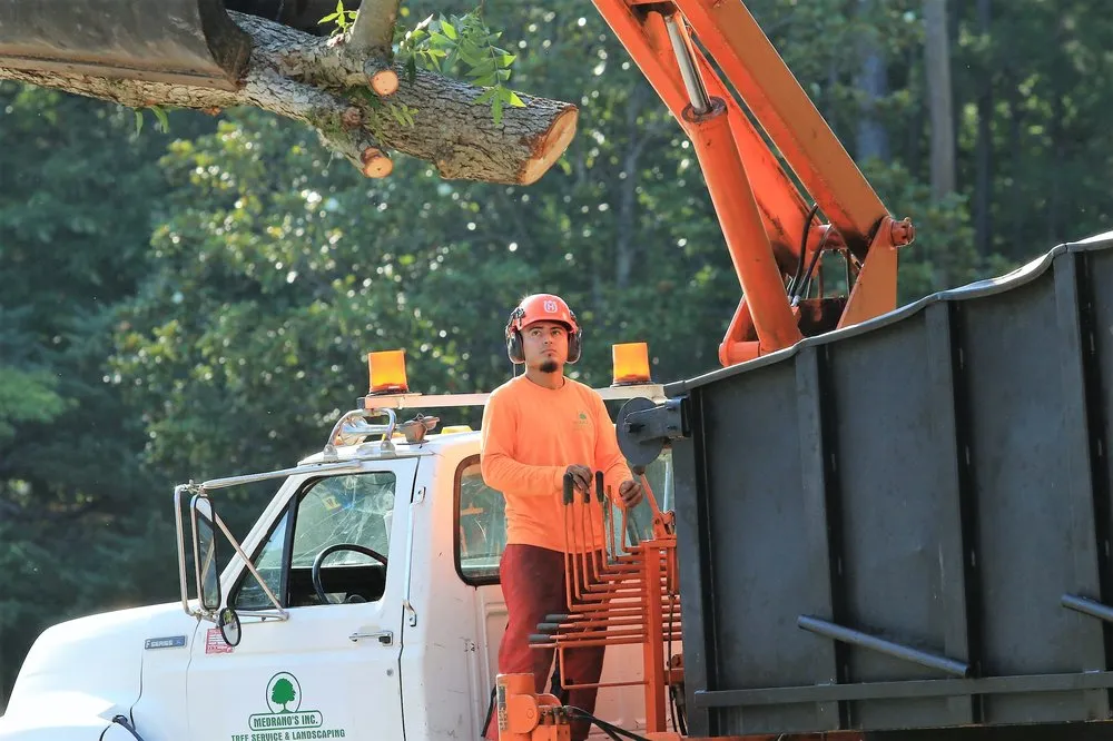 Expert lawn care service experts serving Chapel Hill, NC - Medrano's Tree Service