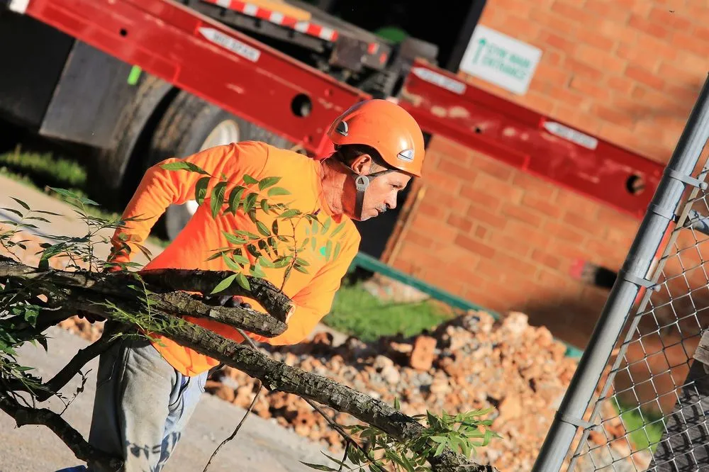 Professional outdoor landscaping for beautiful yards in Chapel Hill, NC by Medrano's Tree Service