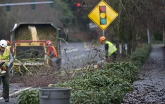 Expert yard maintenance in Chapel Hill, NC by Medrano's Tree Service