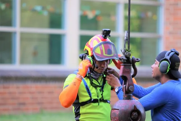 Medrano's Tree Service Logo