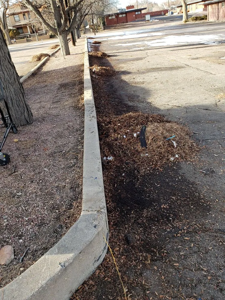 Affordable landscaping services experts serving Pueblo, CO - Medtano Landscaping and Lawn Care