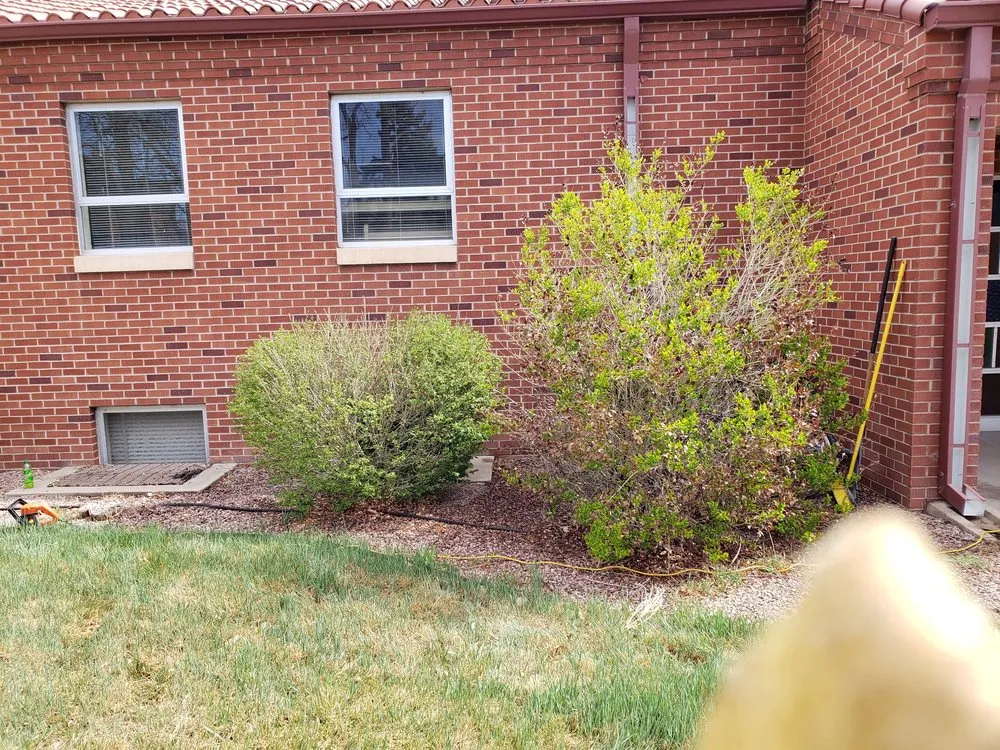 Professional landscaping services for year-round maintenance in Pueblo, CO by Medtano Landscaping and Lawn Care