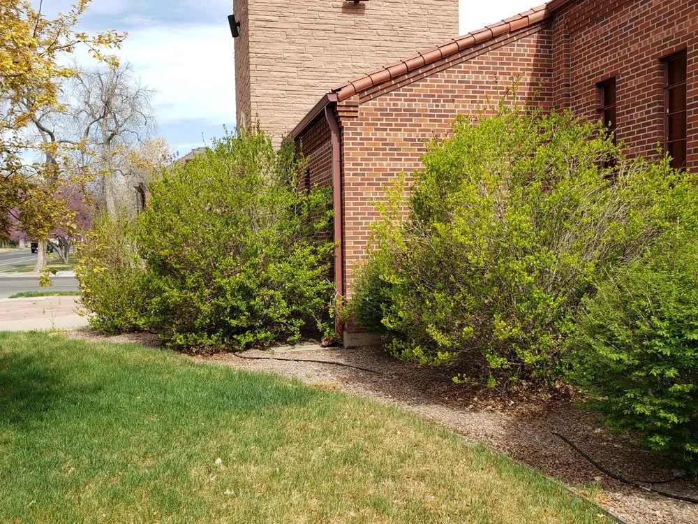 Professional outdoor landscaping in Pueblo, CO by Medtano Landscaping and Lawn Care