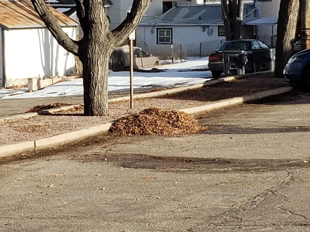 Expert lawn care service for outdoor upgrades in Pueblo, CO by Medtano Landscaping and Lawn Care