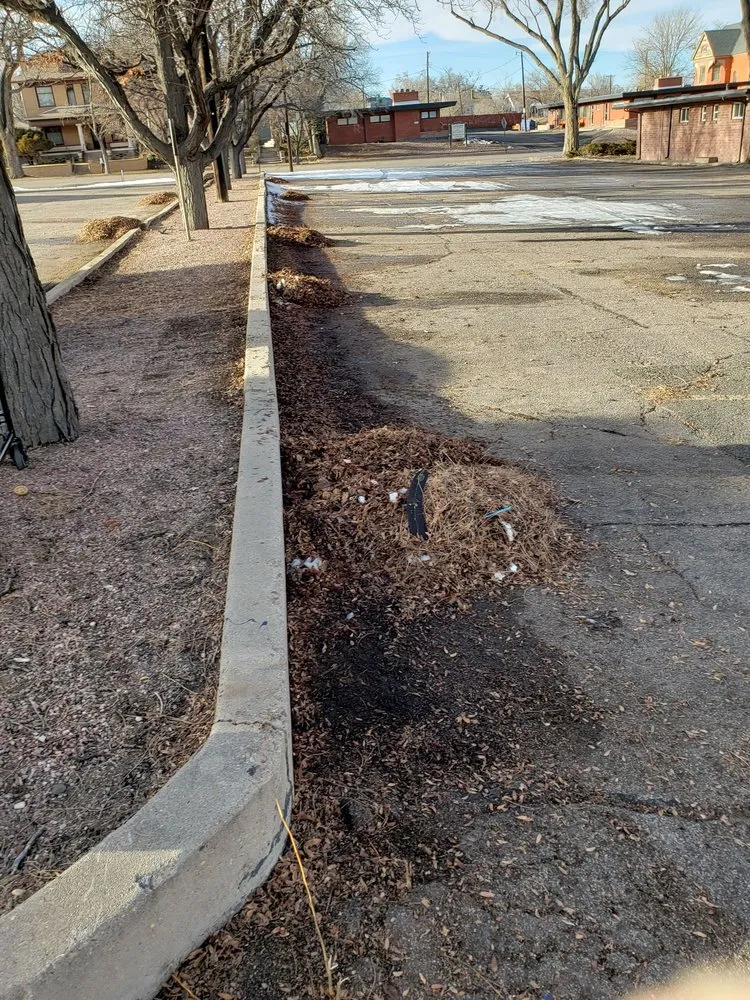 Reliable yard cleanup service for outdoor upgrades across Pueblo, CO - Medtano Landscaping and Lawn Care