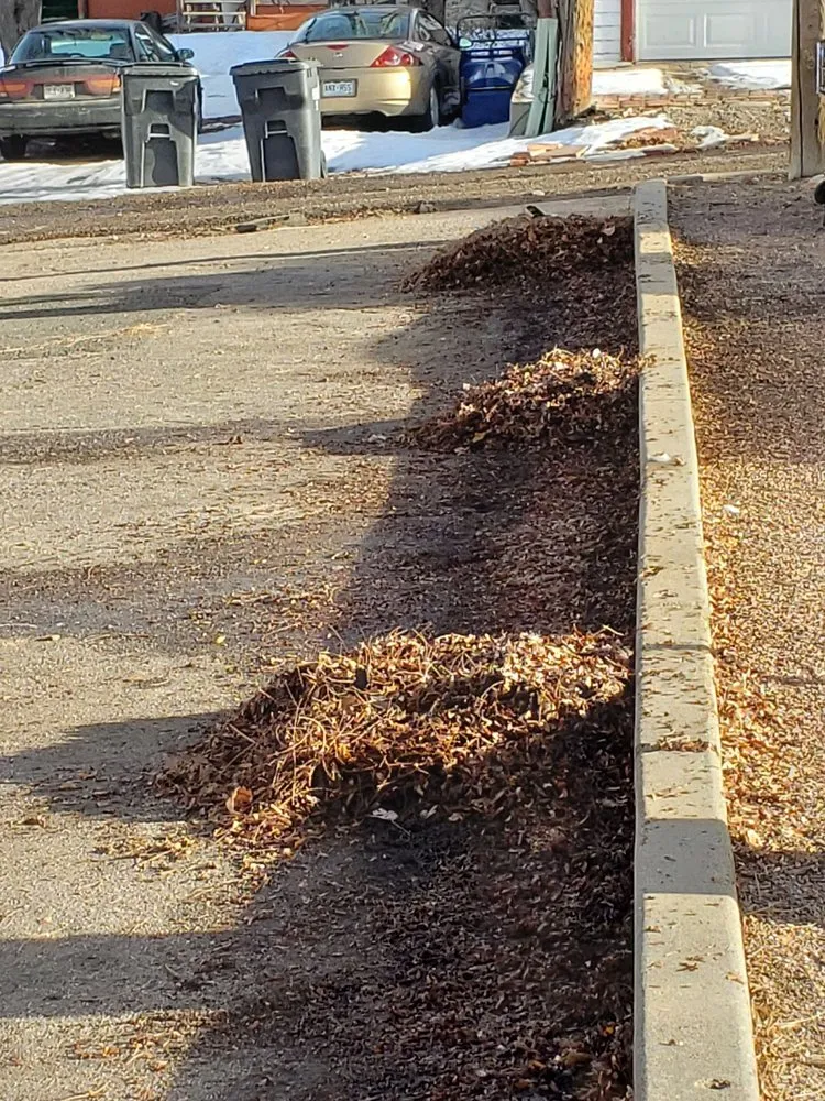 Trusted outdoor landscaping in Pueblo, CO - Medtano Landscaping and Lawn Care