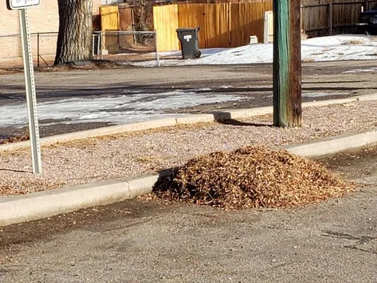 Medtano Landscaping and Lawn Care Logo