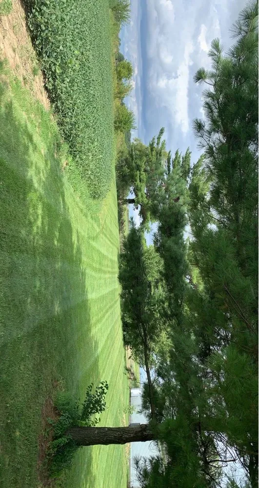 Affordable residential landscaping experts serving Frankfort, IN - Meece Lawn Care