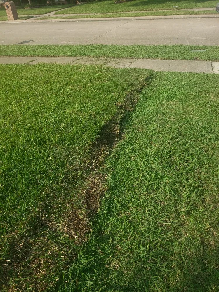 Trusted landscaping services in Mesquite, TX - Meek Brothers Landscaping