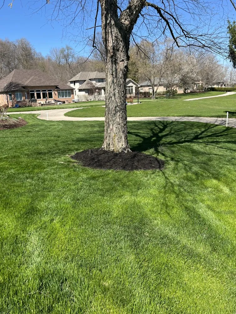 Custom yard cleanup service experts serving Chesterton, IN - Meeks Mowing & More