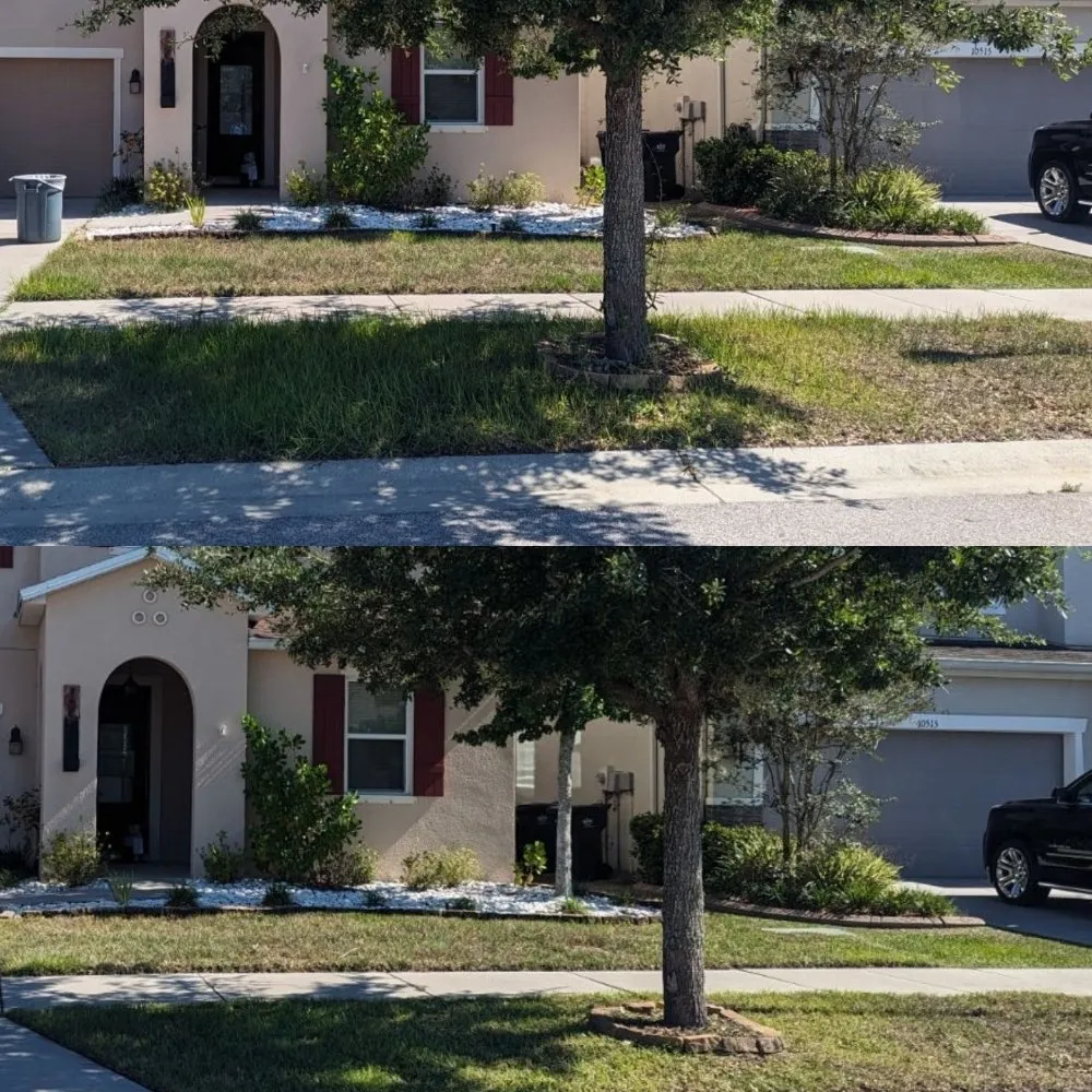 Expert landscape design in Tampa, FL - Meekus Mowing