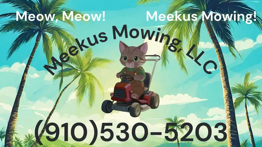 Professional yard cleanup service for beautiful yards in Tampa, FL by Meekus Mowing
