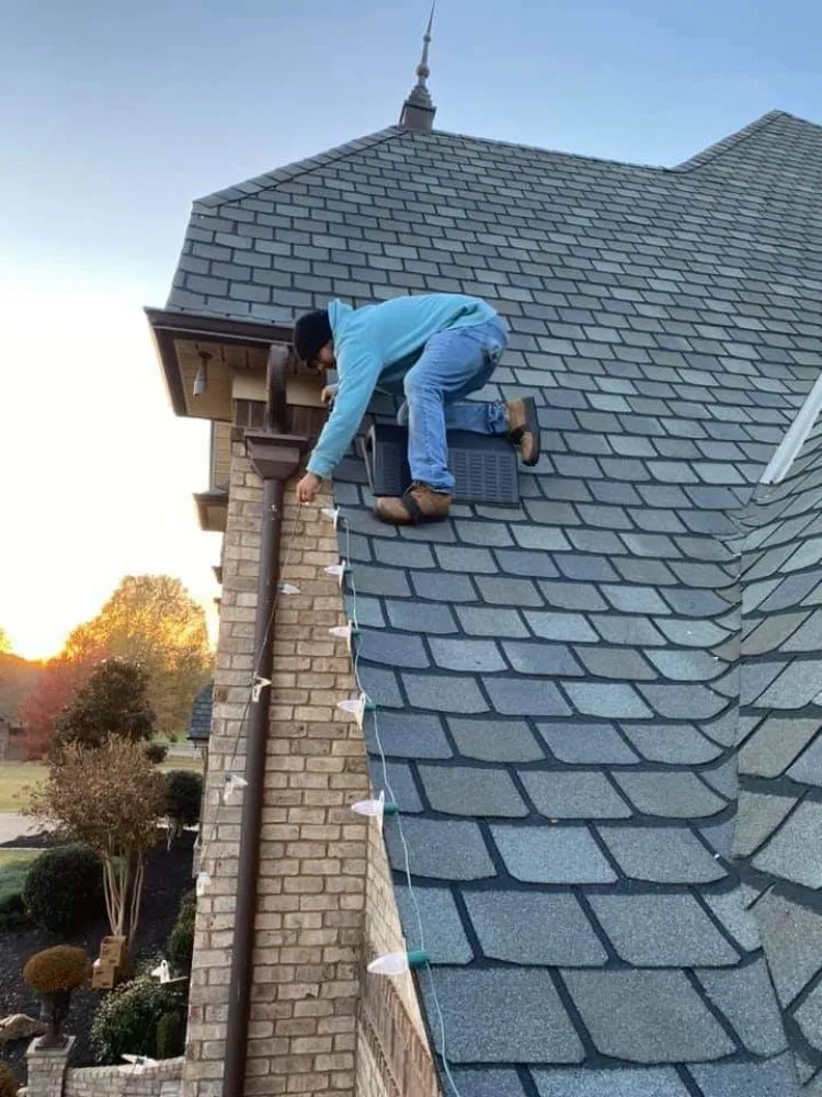 Professional lawn care service experts serving Austin, TX - Meerk Construction and Landscaping