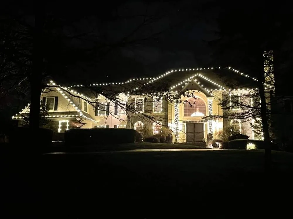 Local lawn care service experts serving Austin, TX - Meerk Construction and Landscaping