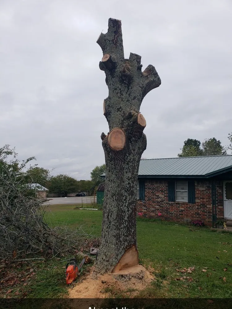 Top-rated landscaping services in Altoona, IA by Meerkats Landscaping